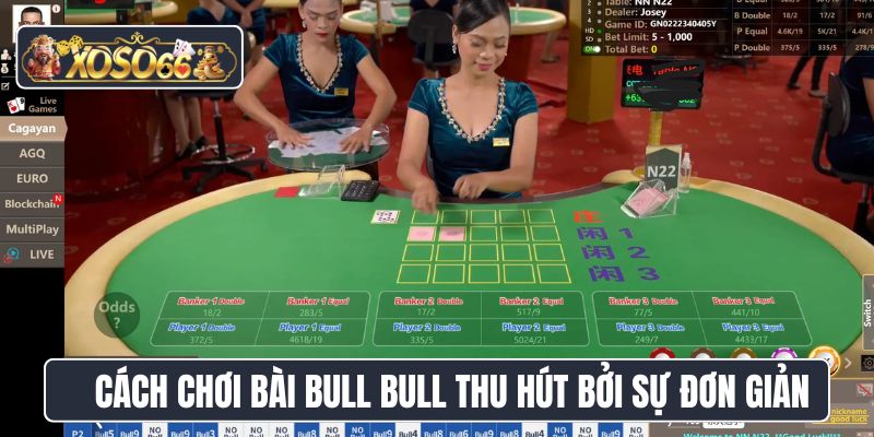 Cách chơi bài Bull Bull thu hút bởi sự đơn giản