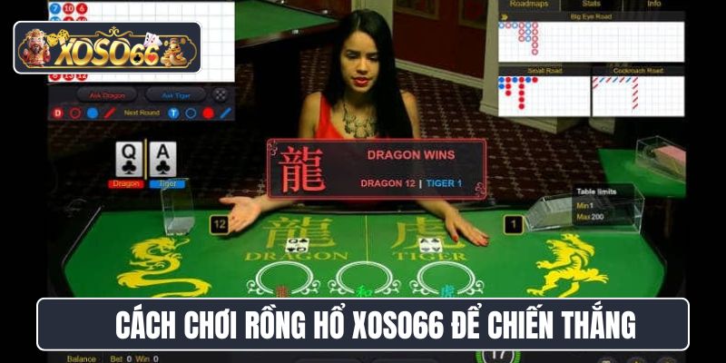 Cách chơi Rồng Hổ Xoso66 để chiến thắng
