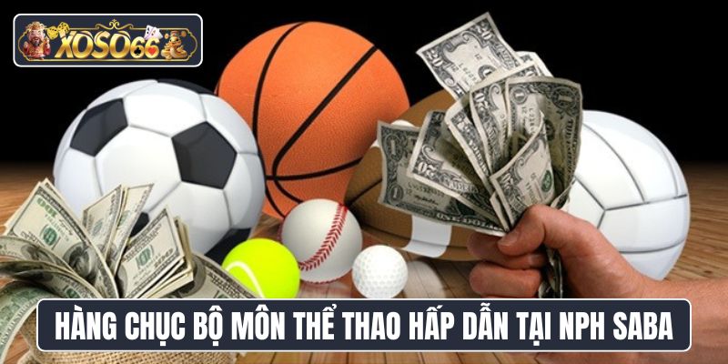 Hàng chục bộ môn thể thao hấp dẫn tại NPH Saba