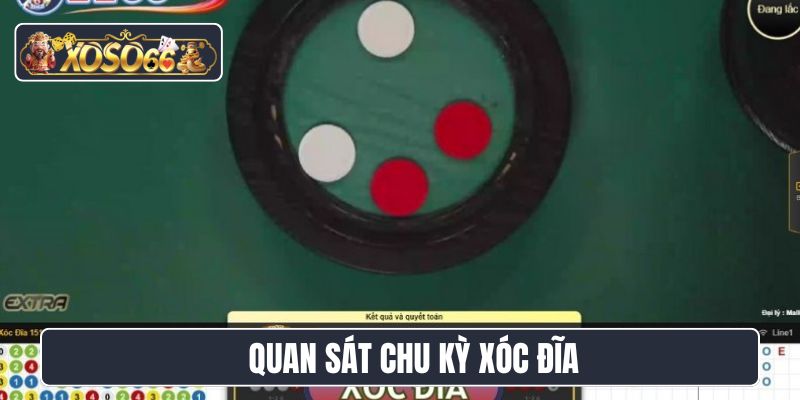 Quan sát chu kỳ xóc đĩa